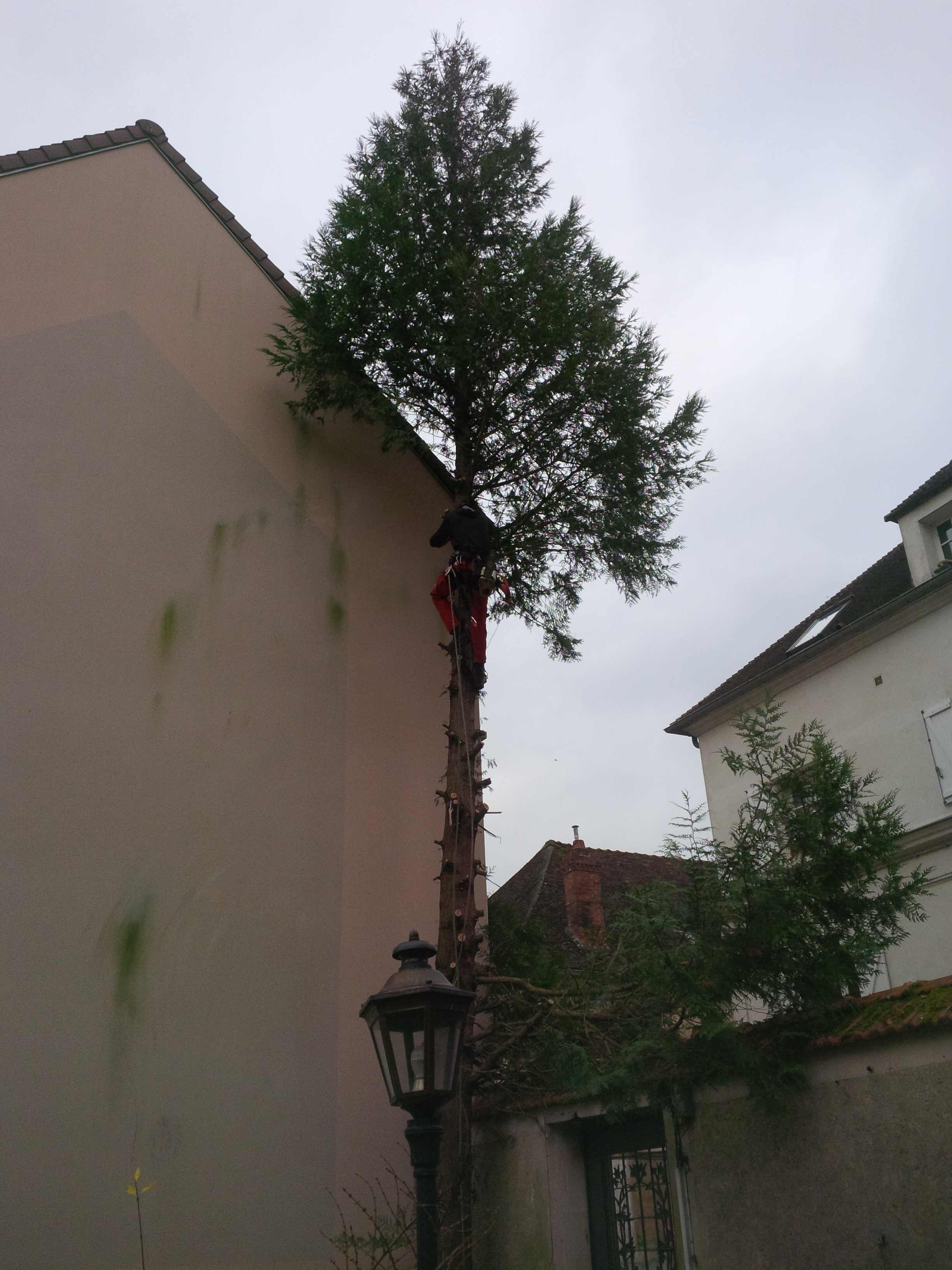 elagage abattage Chezy sur marne 02570